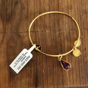 Alex and Ani Swarovski Bracelet